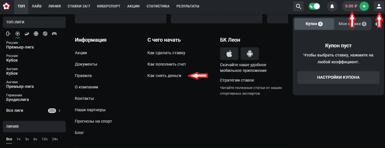 Полная информация о выводе средств из БК Leon: доступные методы, сроки и ограничения.