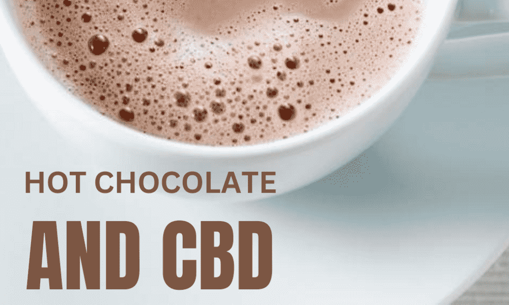 Hot Chocolate and CBD